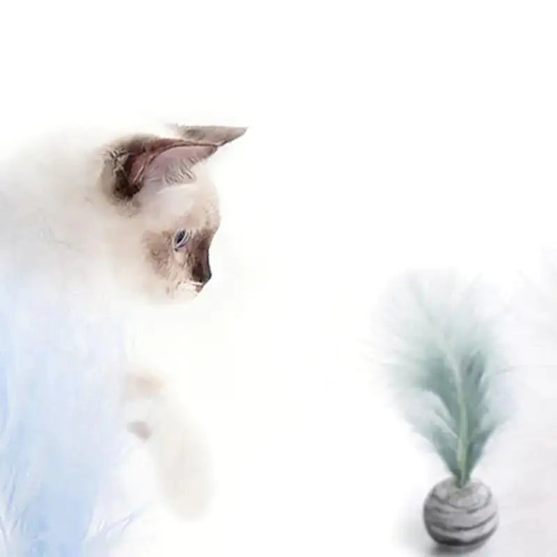 PounceAura Ball