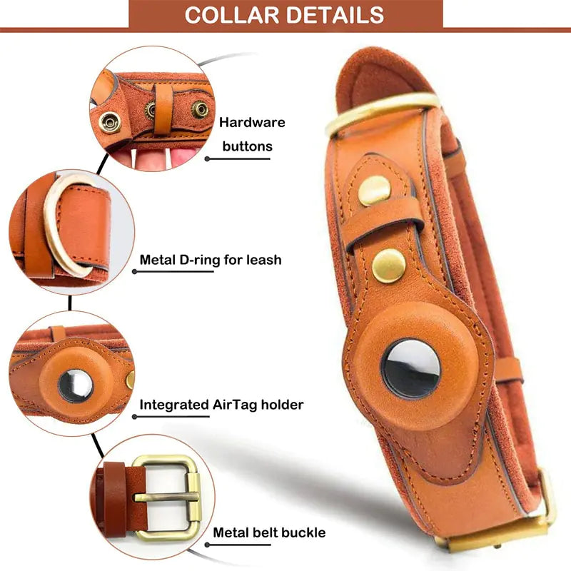 Heritage Halo Collar