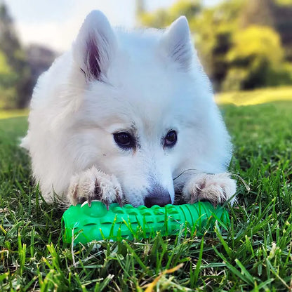 CrocChomp Chew
