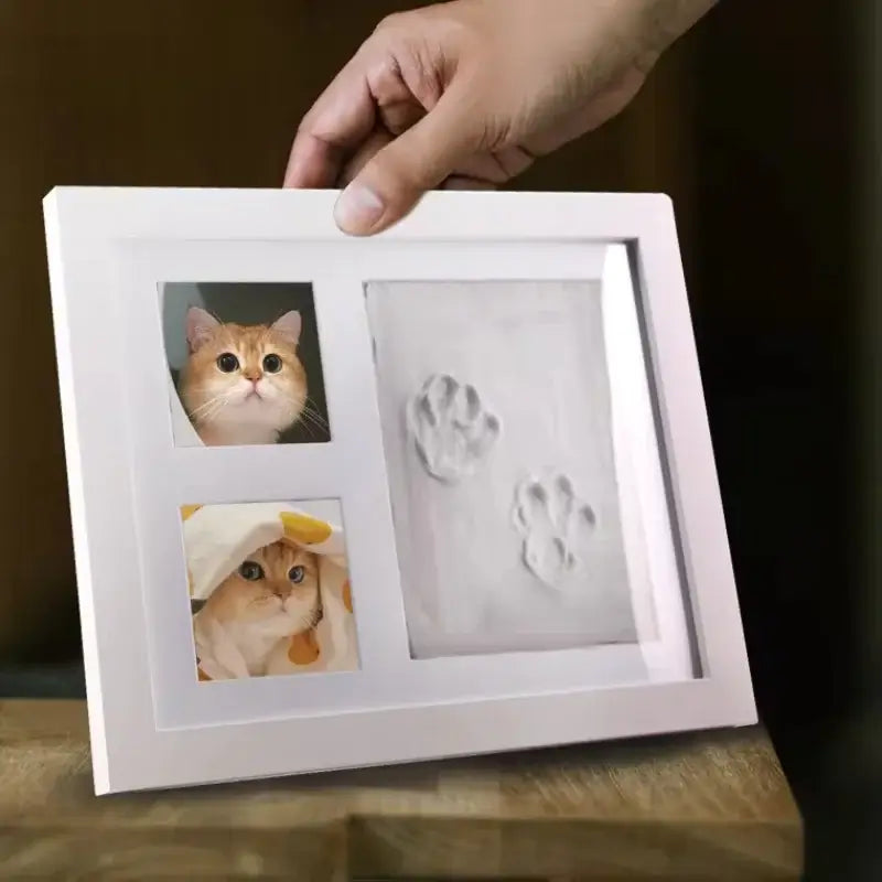 PawMuse Keepsake Frame