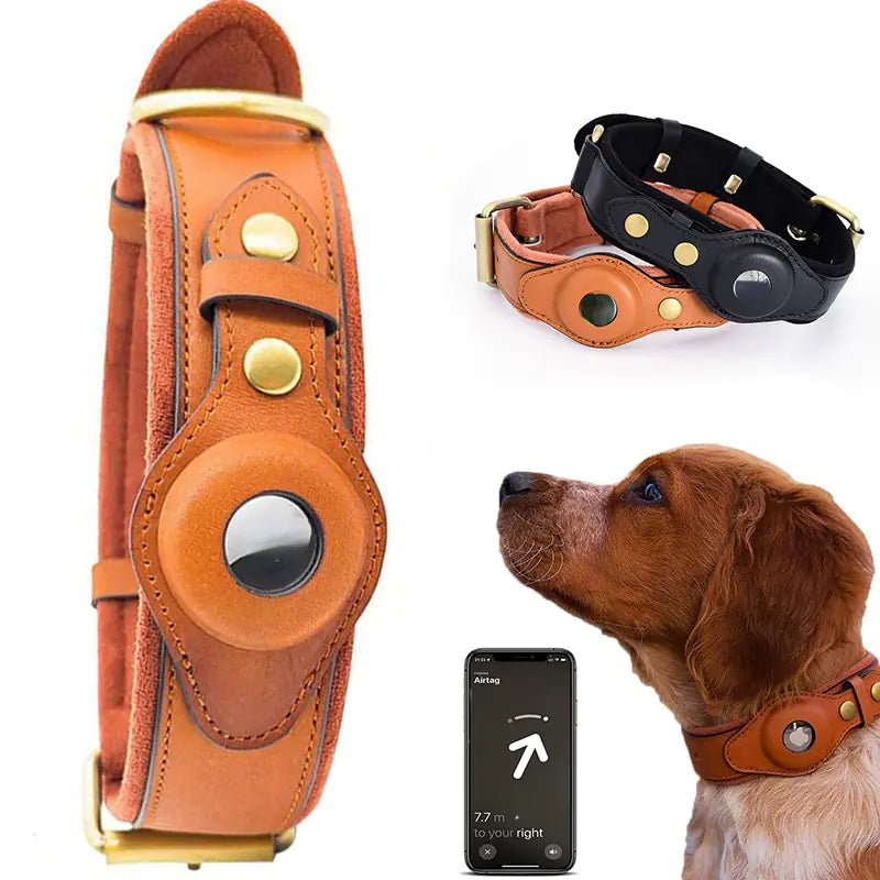 Heritage Halo Collar