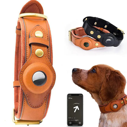 Heritage Halo Collar