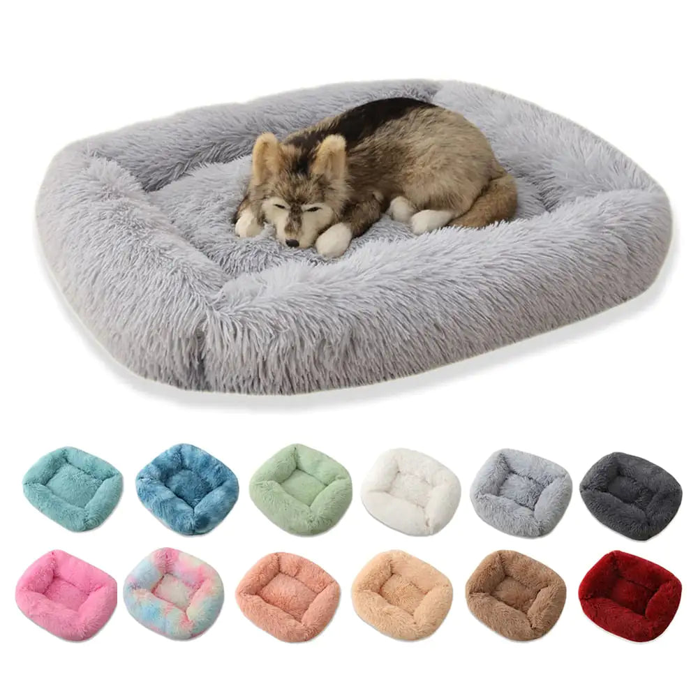 CloudNest Bed