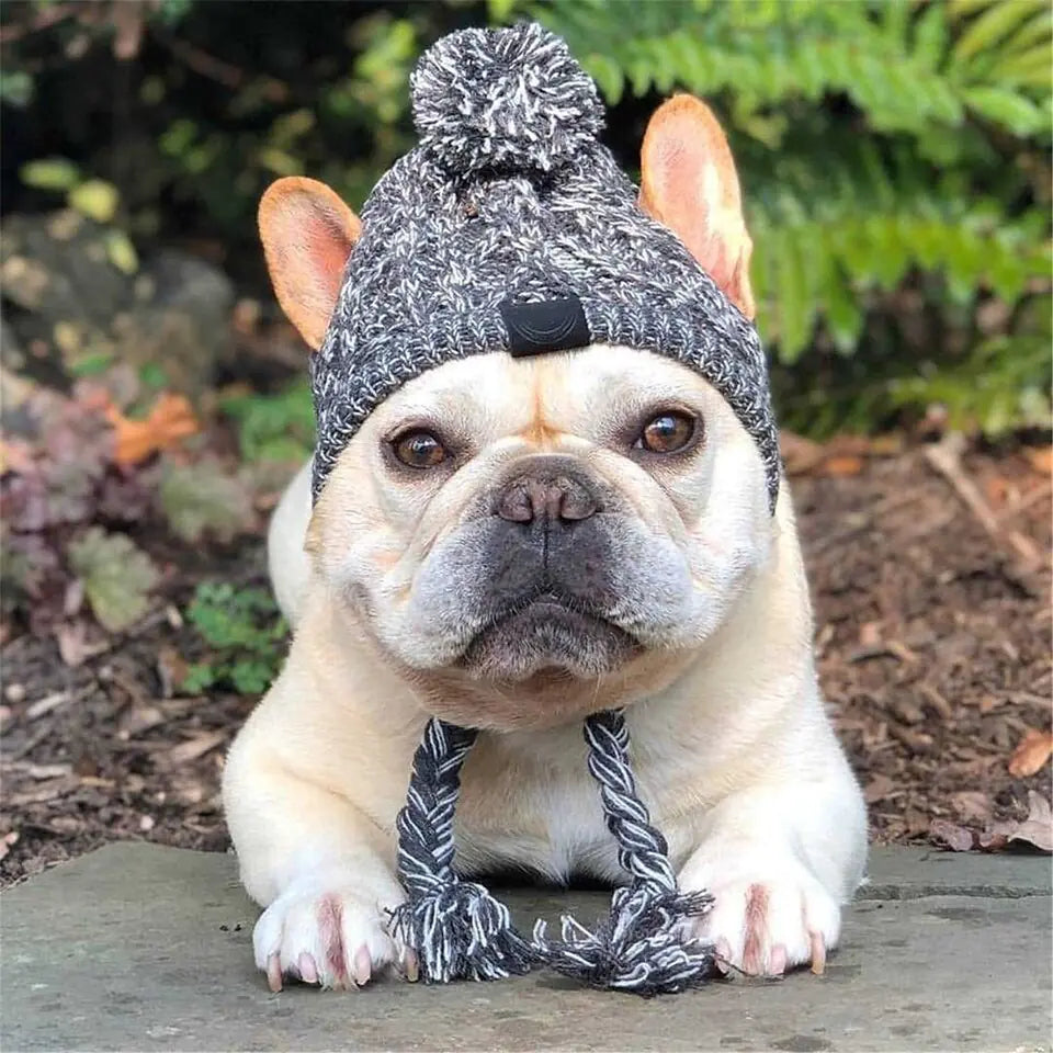 PawShade Cap