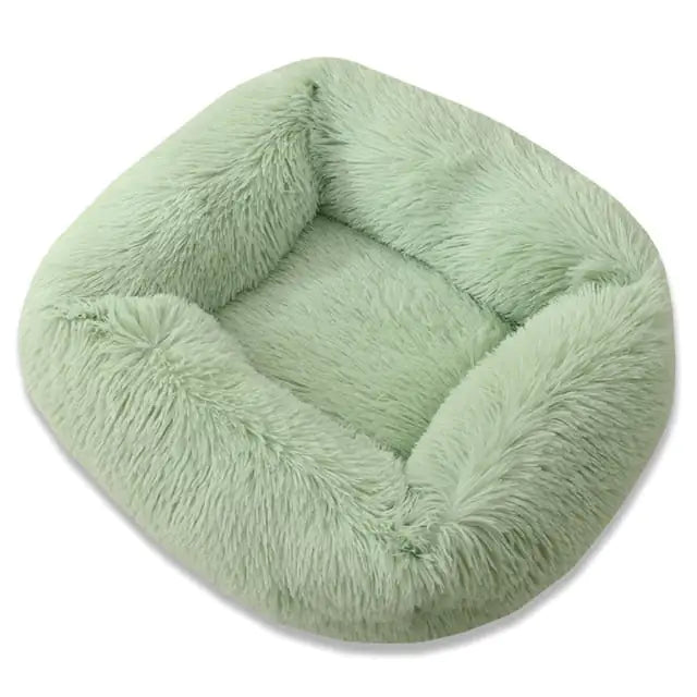 CloudNest Bed
