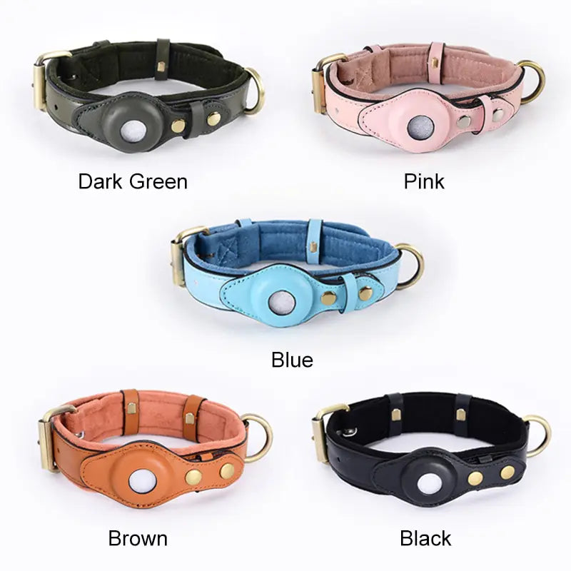 Heritage Halo Collar