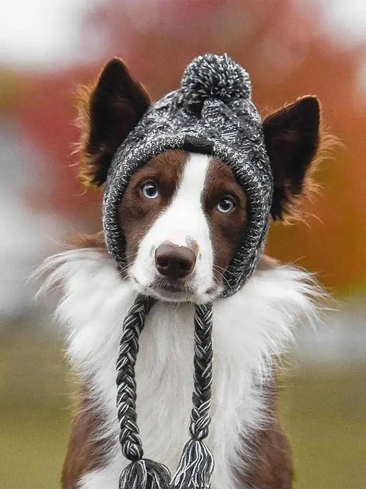 PawShade Cap