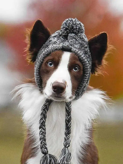 PawShade Cap