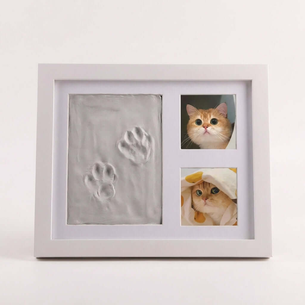 PawMuse Frame