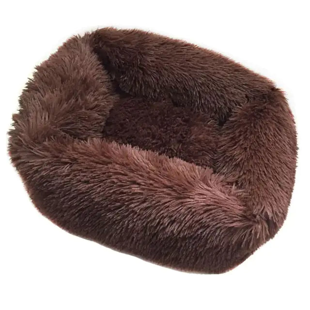 CloudNest Bed