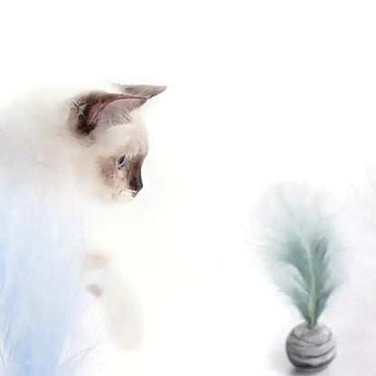 PounceAura Ball