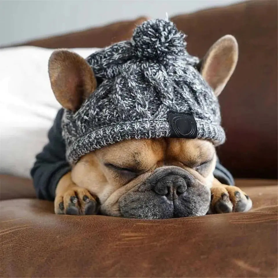 PawShade Cap