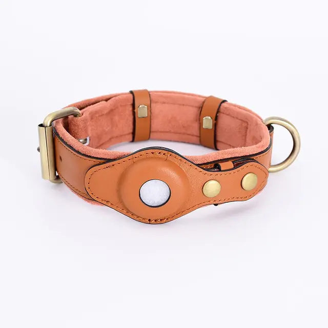 Heritage Halo Collar
